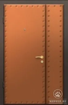 Стальная тамбурная дверь-100